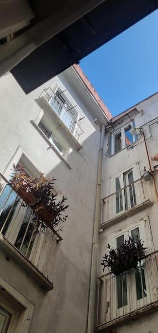 Modern Hospitality Naples Exclusive Stay Eksteriør bilde